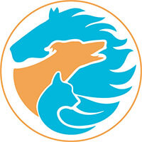 Deluxe Vet Physio Logo